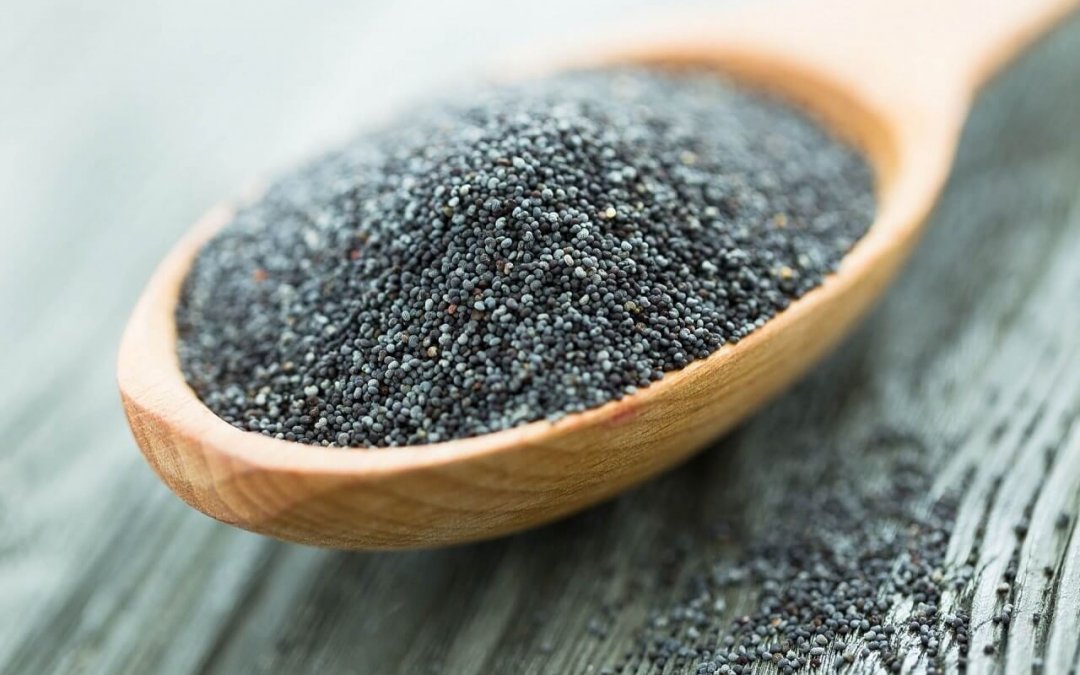 Chia é a semente que elimina gordura