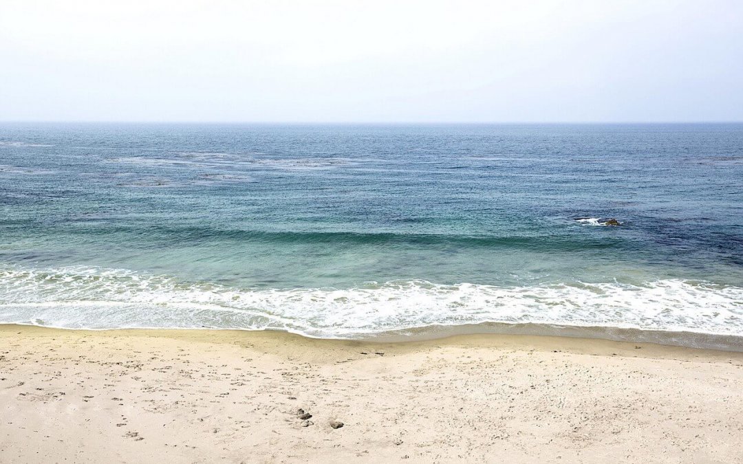 Bio Arct – A cápsula que veio do mar