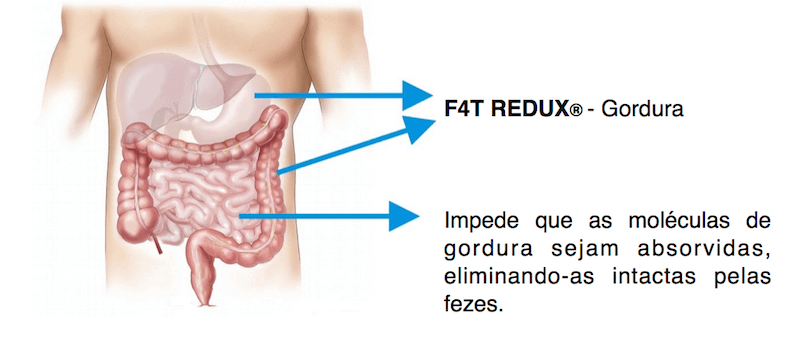 F4T REDUX® - Os quilinhos a menos que você tanto deseja