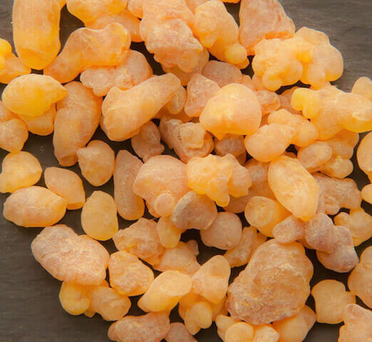 Óleo Essencial de Olíbano