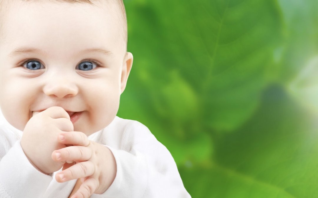 Fórmulas manipuladas para bebês