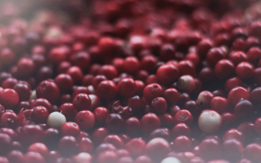 Cranberry + D-manose: aliados no combate à infecção urinária