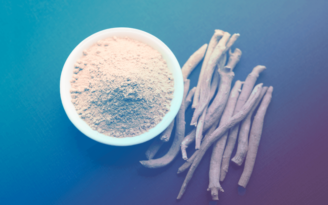 Conheça a Ashwaghanda, a planta medicinal que pode aliviar os sintomas da menopausa