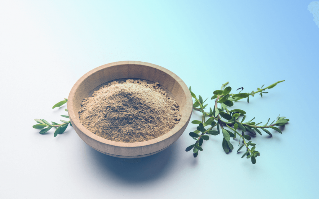 Você conhece os benefícios da Bacopa monnieri para a memória?